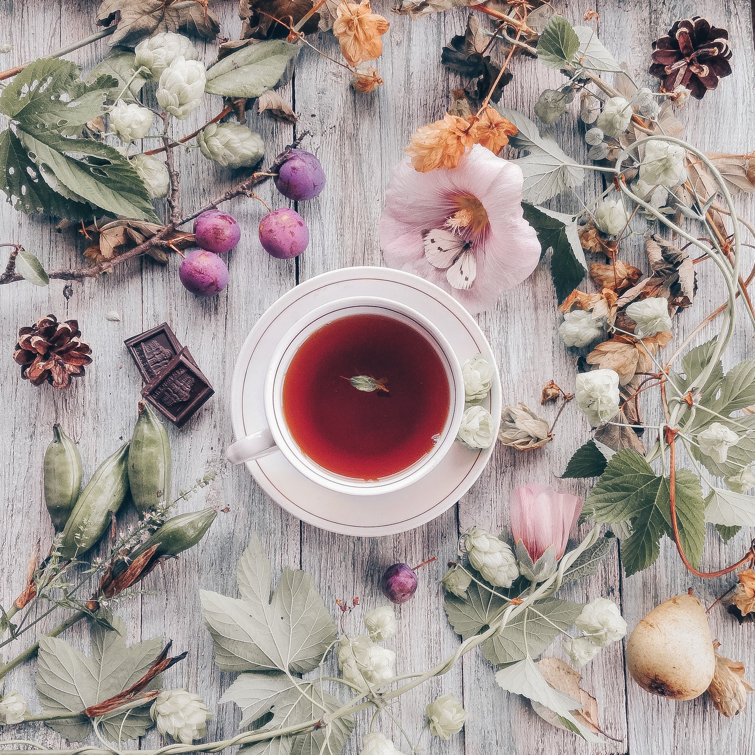 Herbal Tisane