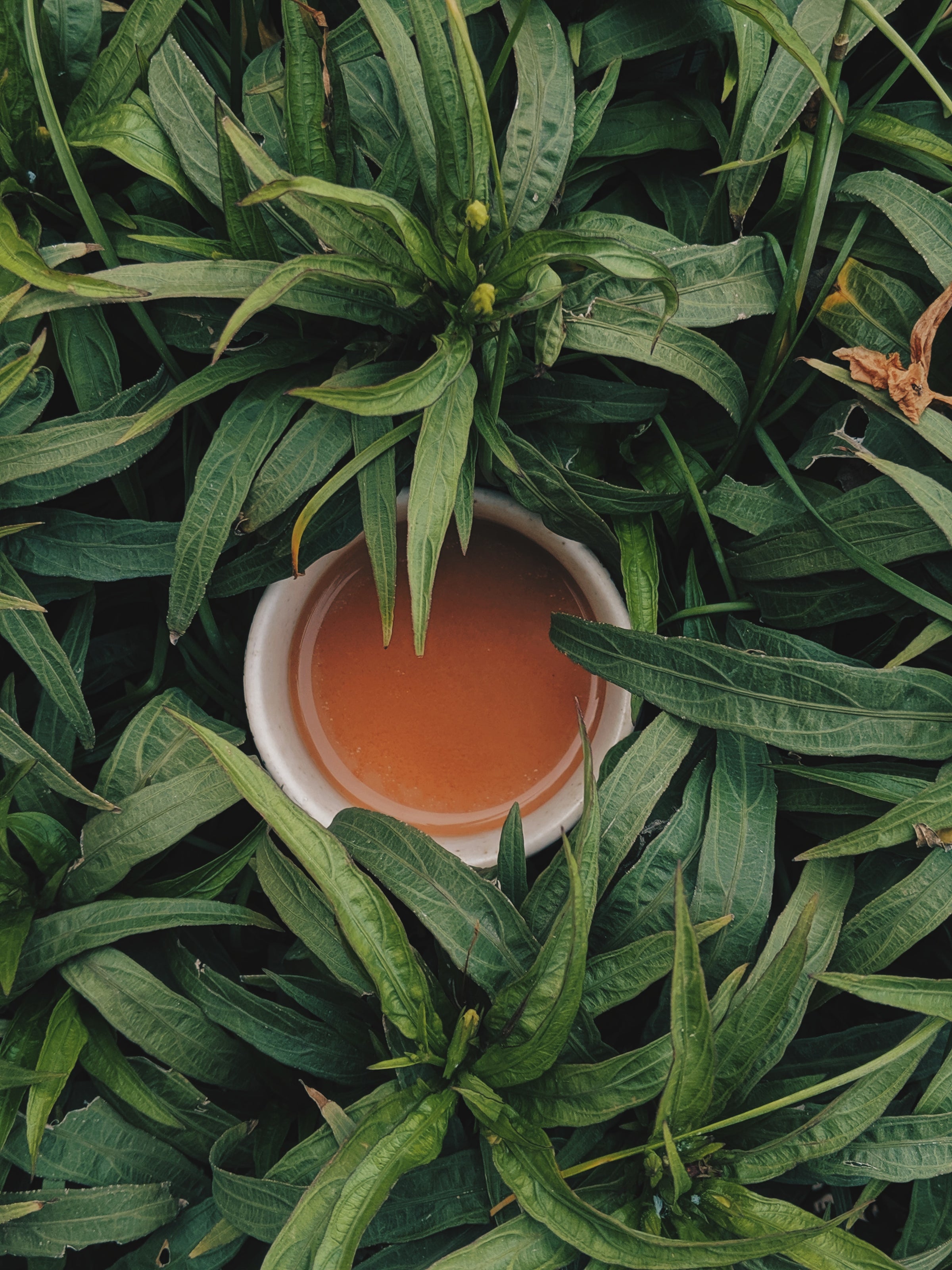 Blended Black Tea_old